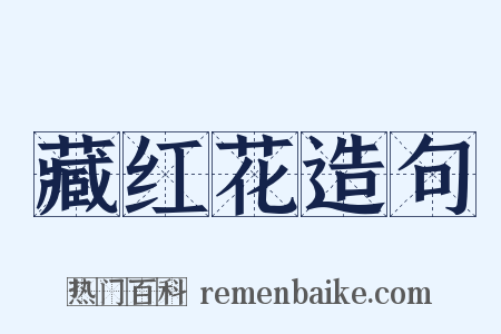 藏红花造句是什么意思的图片